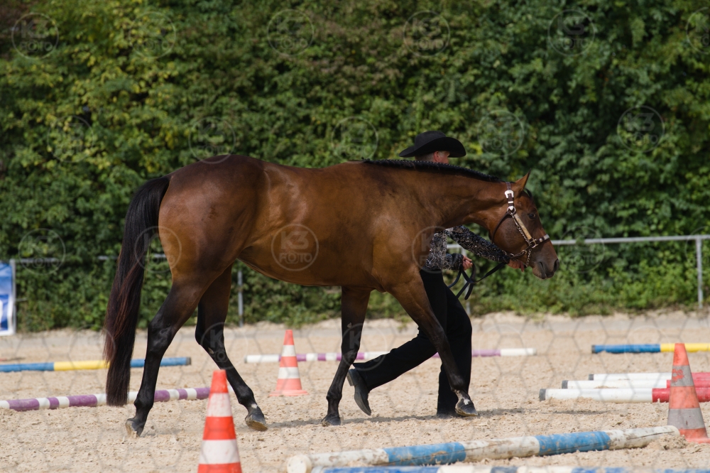 s_batch_A9_00110.jpg
